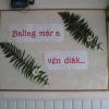 Ballagás